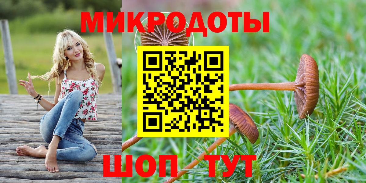 Псилоцибиновые грибы прущие грибы Заволжье