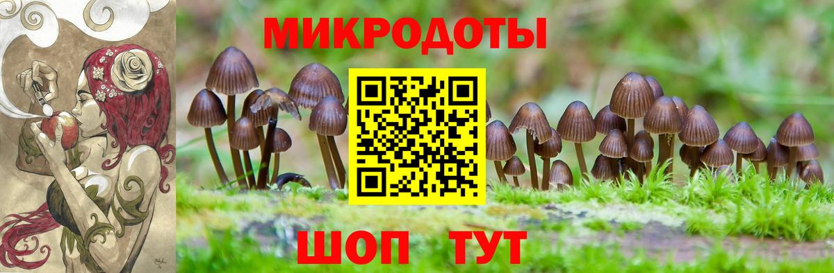 Галлюциногенные грибы мицелий  Вход с VPN  Заволжье 